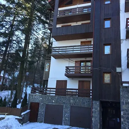 Muller Sinaia