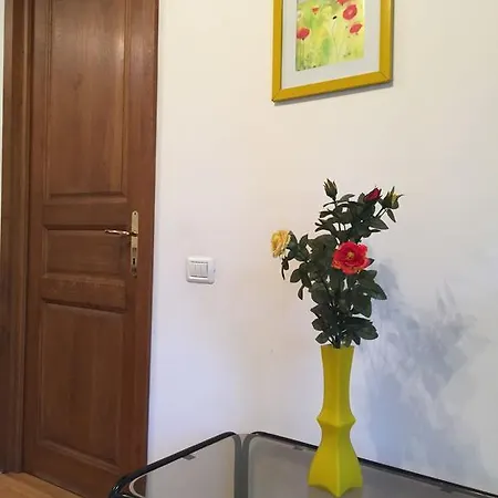 Muller * Sinaia